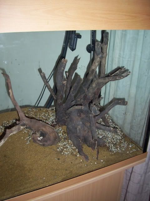 240lTank006.jpg