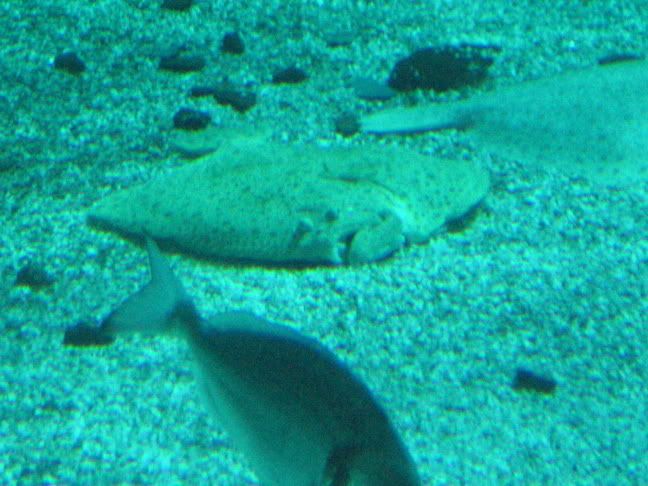 IMG_0675.jpg
