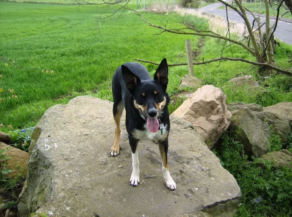 HPIM0083.jpg