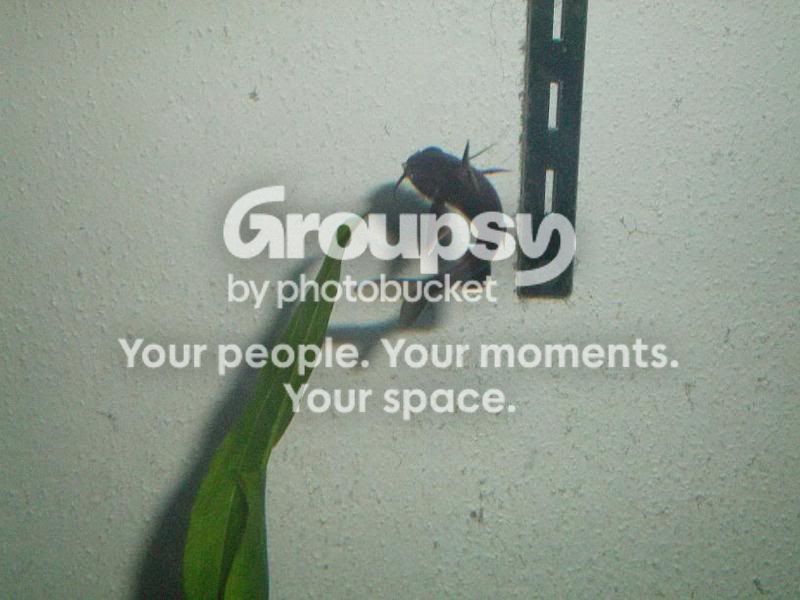 100_0020.jpg