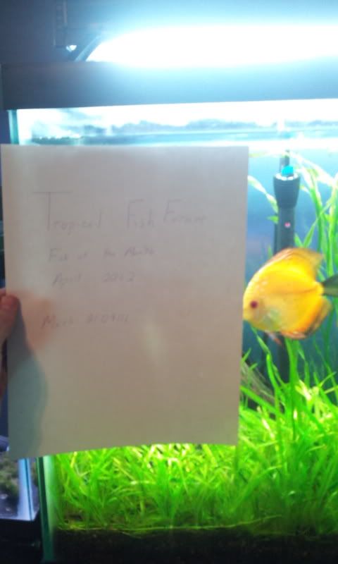 2012-03-16190046.jpg