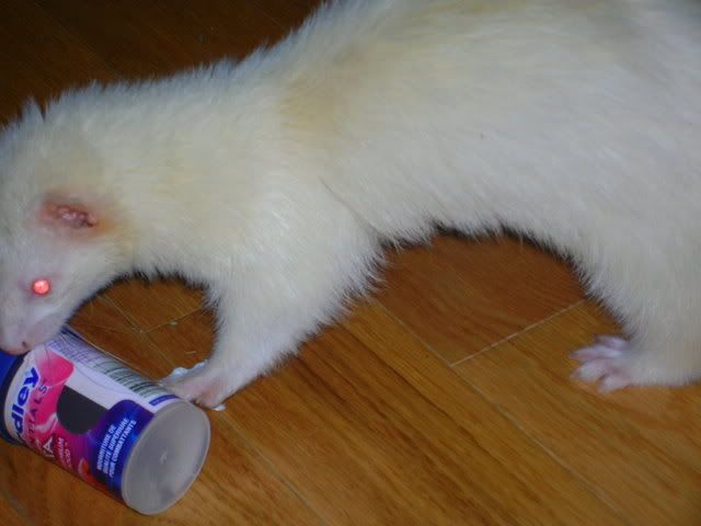 fuzzies068.jpg
