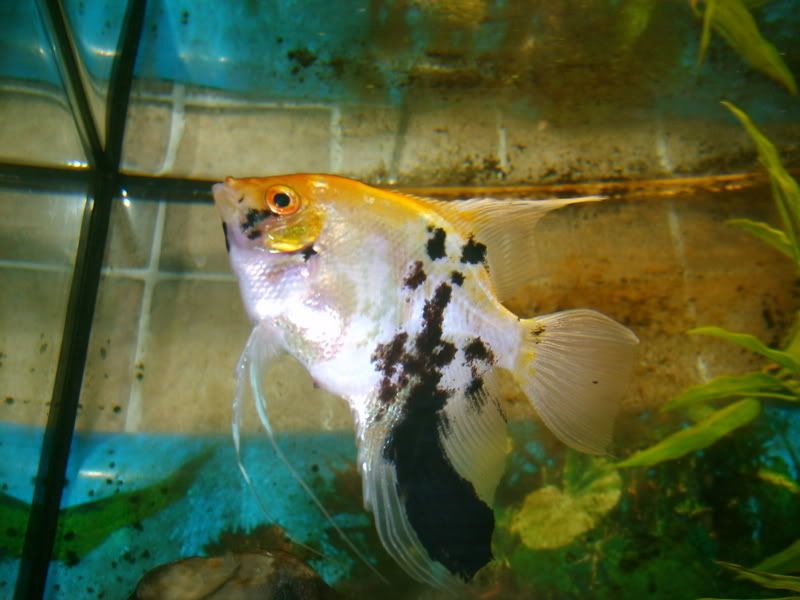m002.jpg