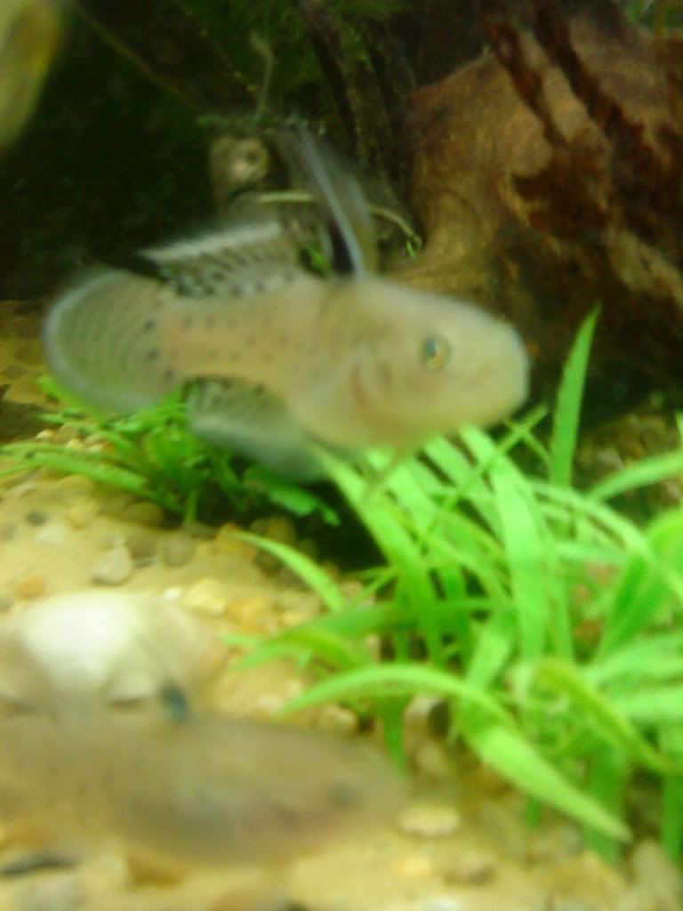 DSC01376.jpg