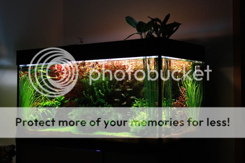 IMG_11212000x.jpg