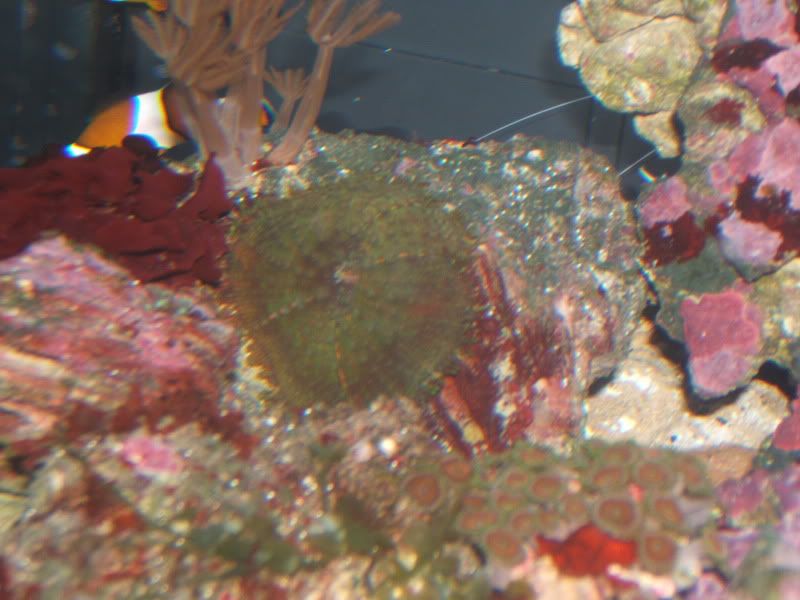 DSCF1479.jpg