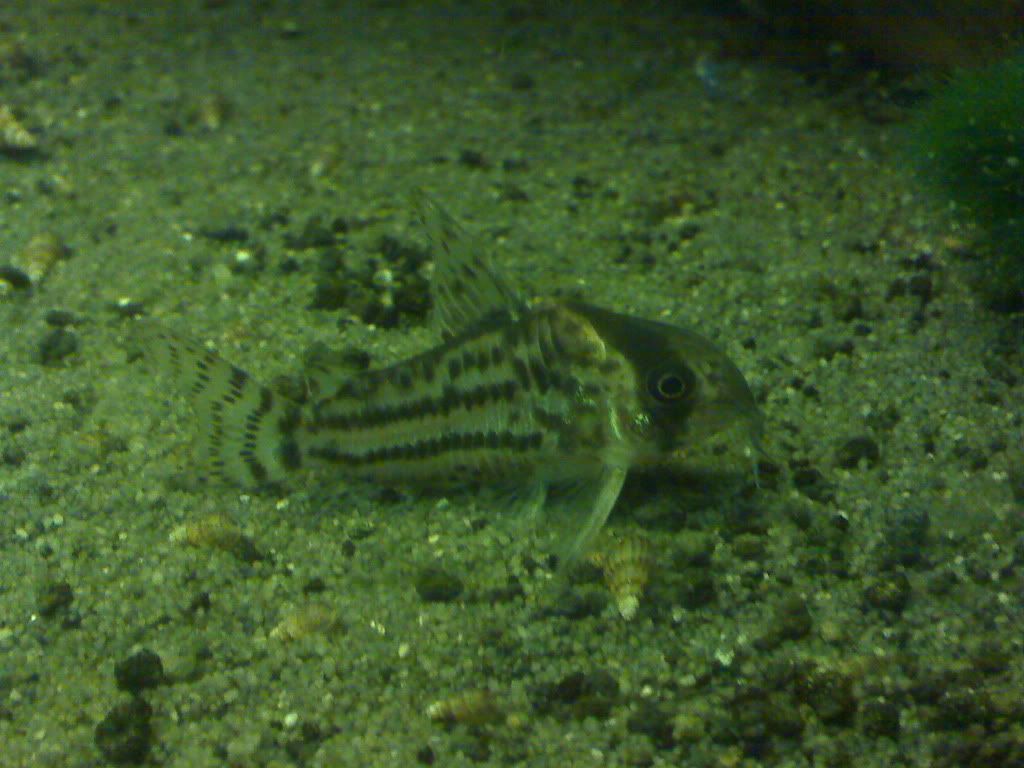 DSC00429.jpg