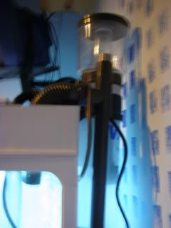 PC270131.jpg