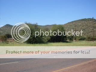 SDC12313.jpg