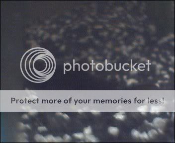 Cam00002-11.jpg