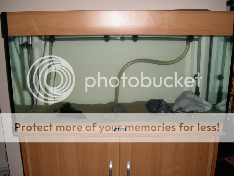 DSCN0670.jpg