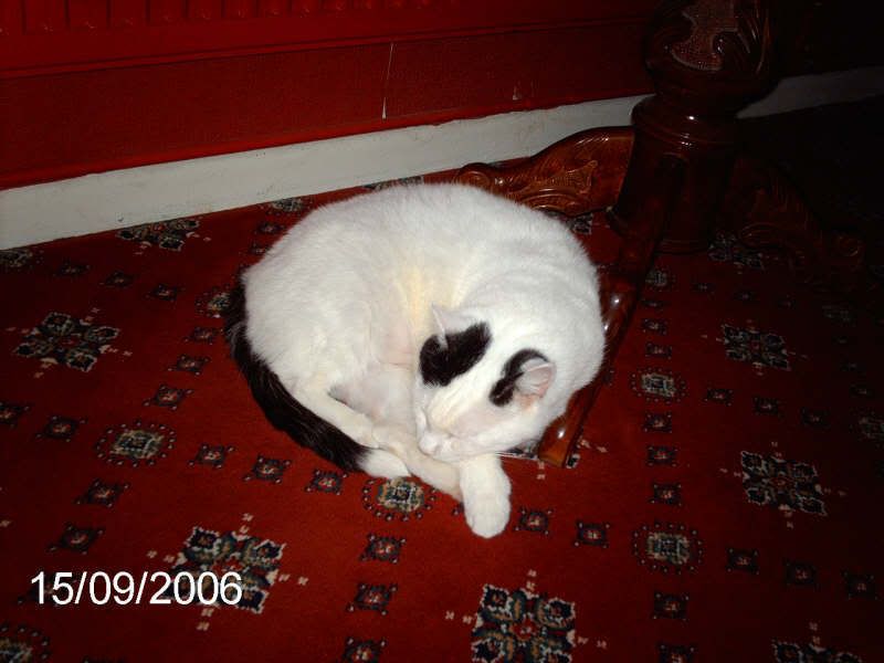 IMAG0312.jpg