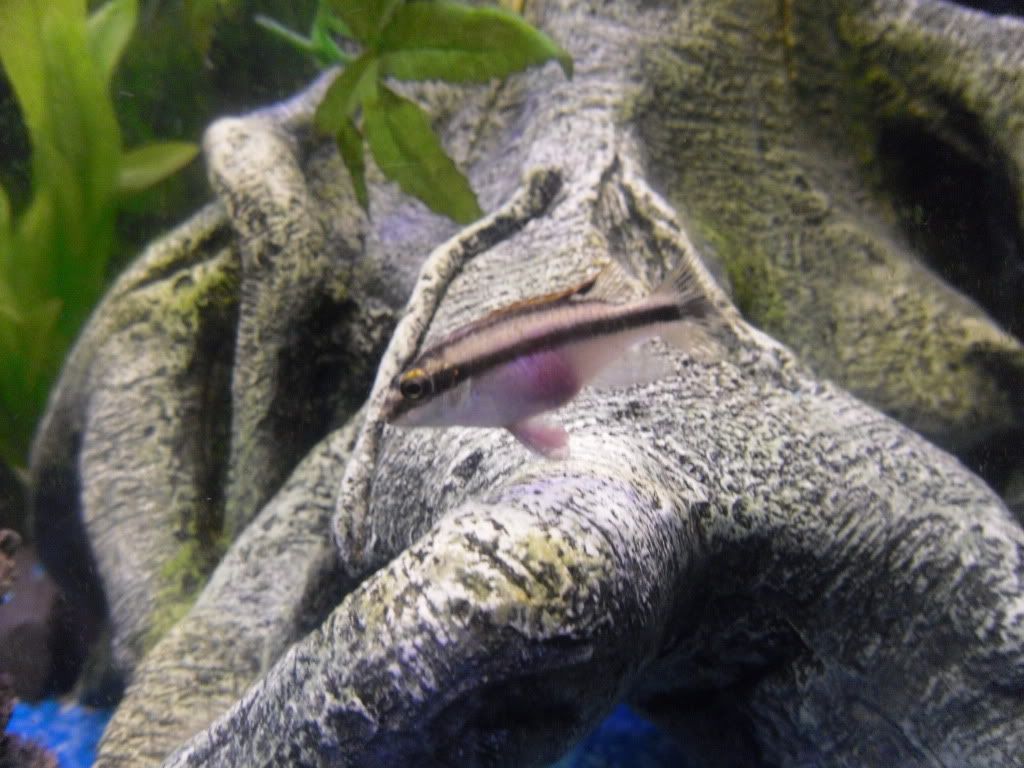 female3.jpg