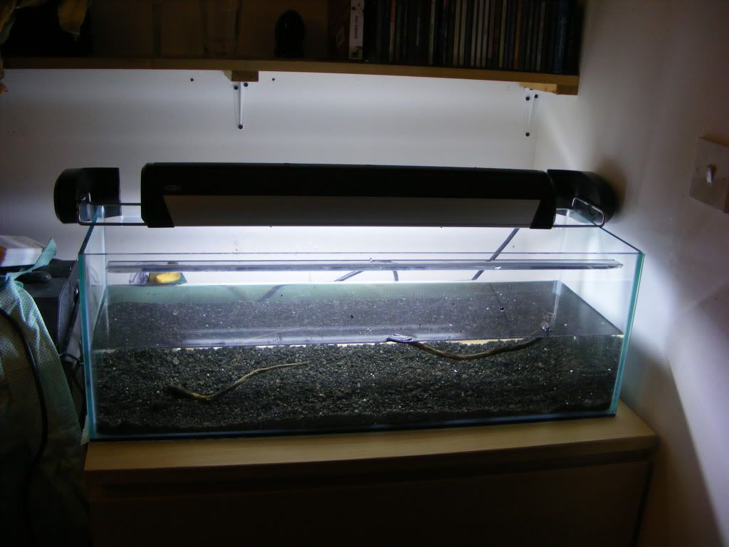 DSCF3143.jpg