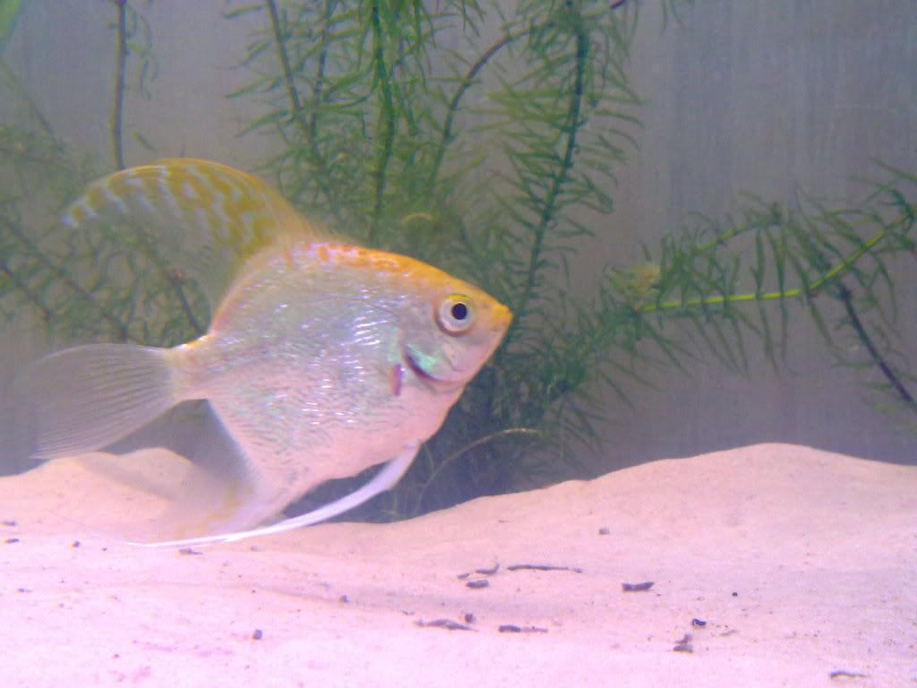 09082009086.jpg
