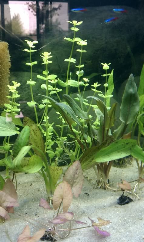 IMAG0456.jpg
