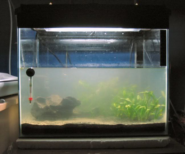 tank-1.jpg