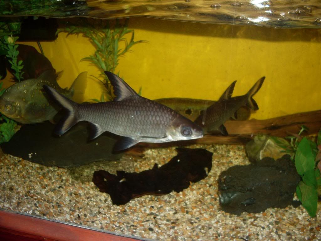SDC10719.jpg