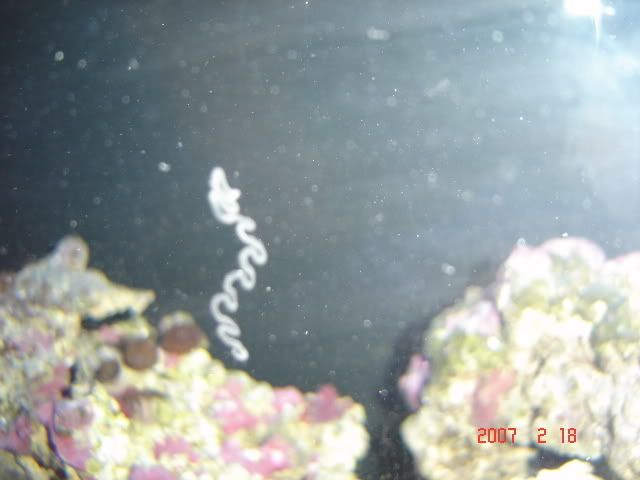 DSC03875.jpg