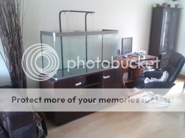2011-08-13142037.jpg