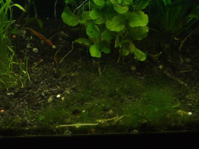 DSCF1581.jpg