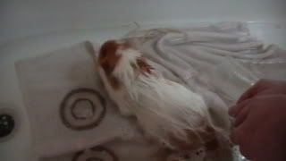 bathtime001.jpg