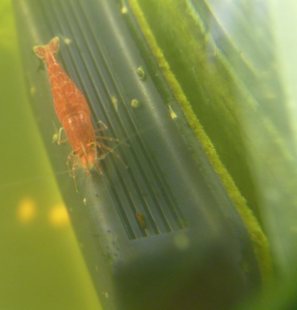 S7003624.jpg