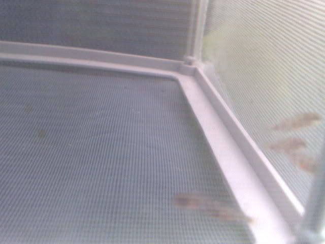 21012009127.jpg