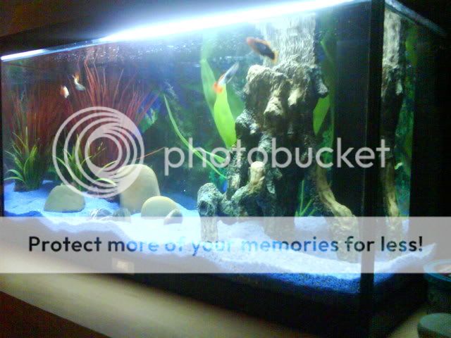 DSC00608-1.jpg