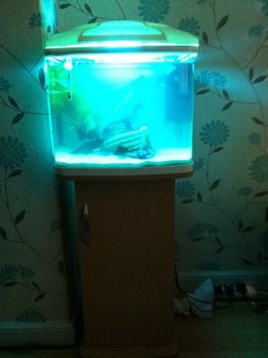 photo-29.jpg