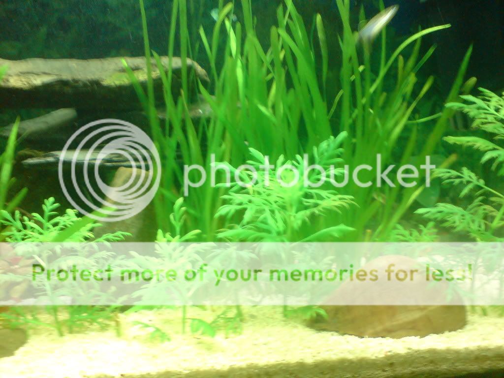 DSC00651.jpg