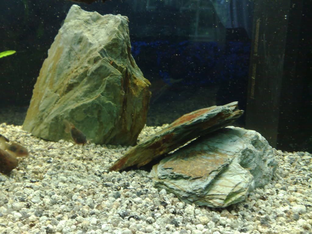 18082010037.jpg