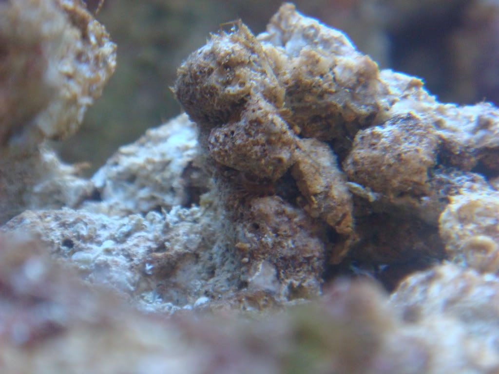 DSC01670.jpg