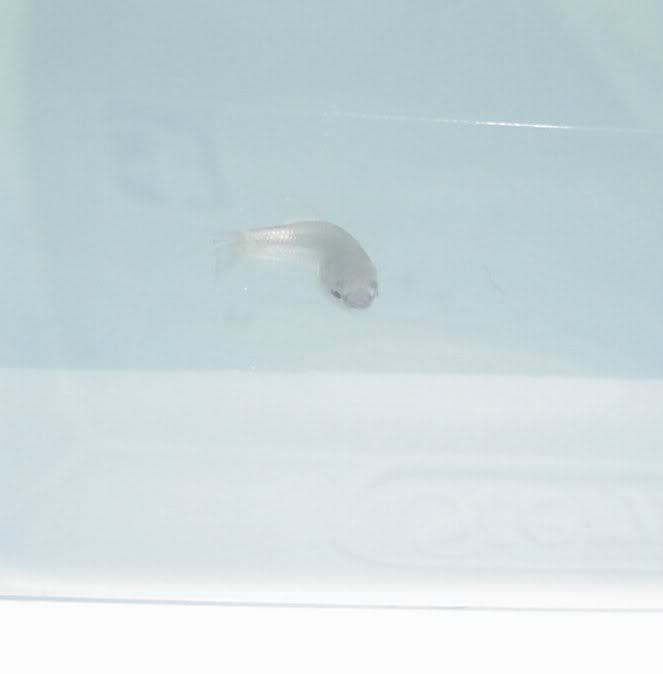 Picture1201.jpg