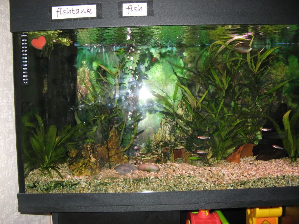 IMG_3720.jpg