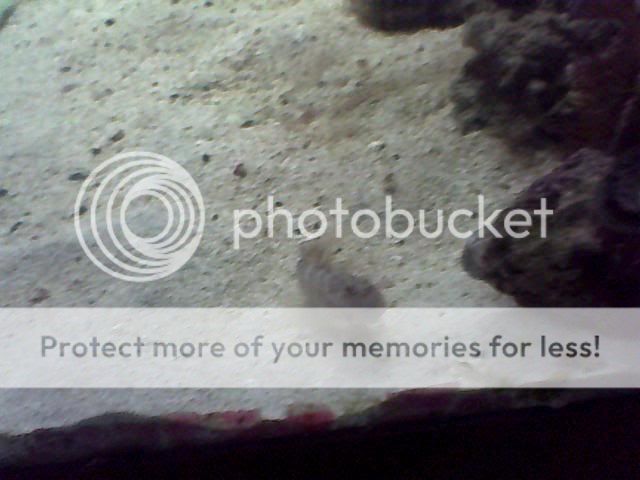Image_00013.jpg