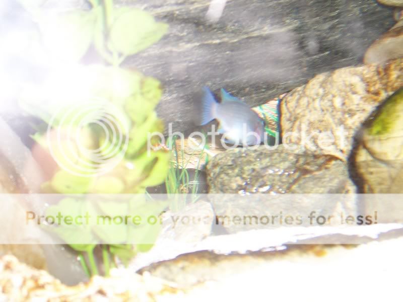 100_1239.jpg