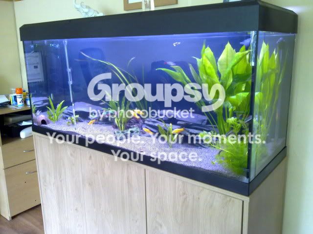 080620111130.jpg