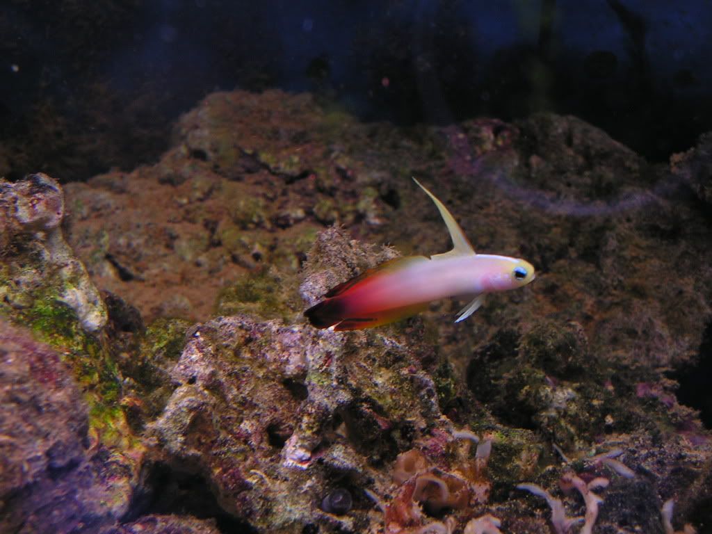 PICT0497.jpg