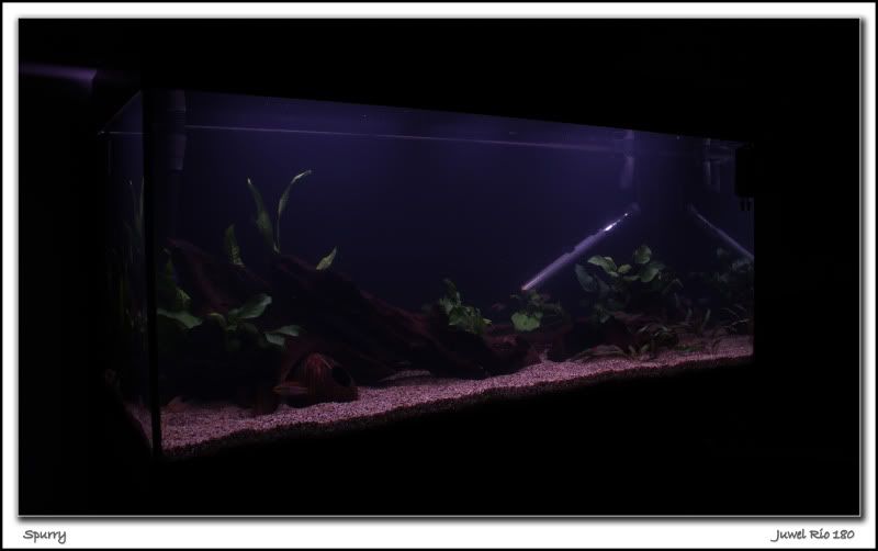 10newscape.jpg