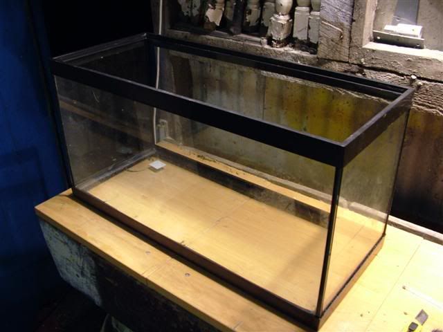 DSCF0638Small.jpg
