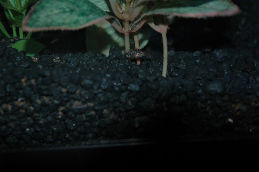 DSC_4249.jpg