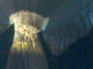 Image017-1.jpg