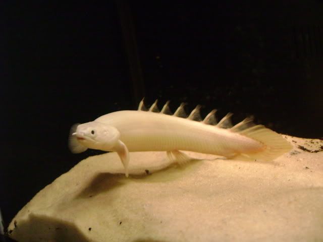 DSC00751.jpg