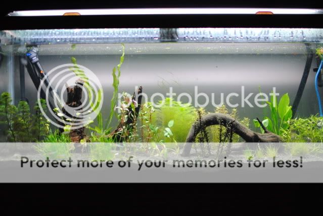 DSC_0776.jpg