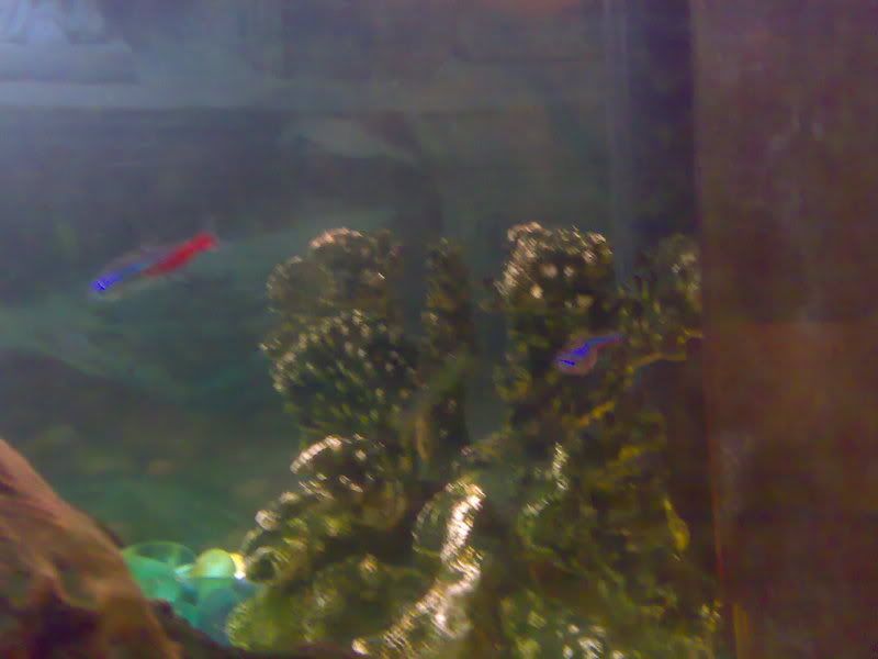 20062007324.jpg