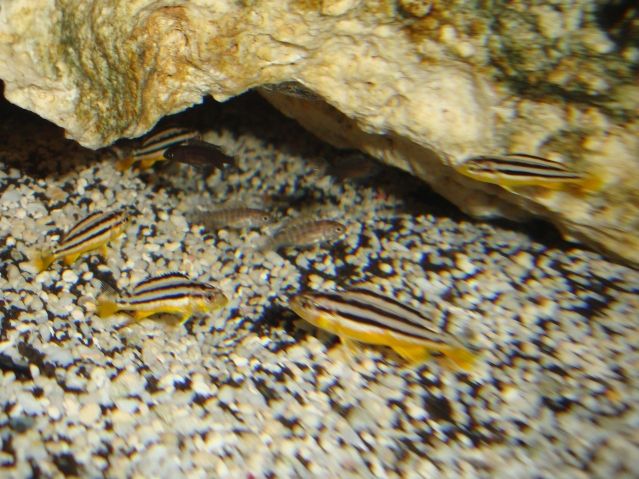 DSC01125.jpg