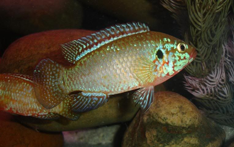 d6b53228.jpg