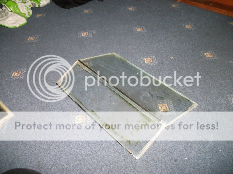 DSCF2943.jpg