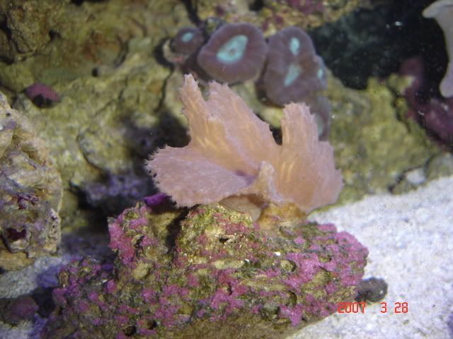 DSC03930.jpg